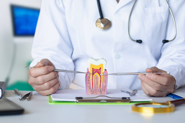 Best Weekend Emergency Dentist in Apple Mountain Lake, VA